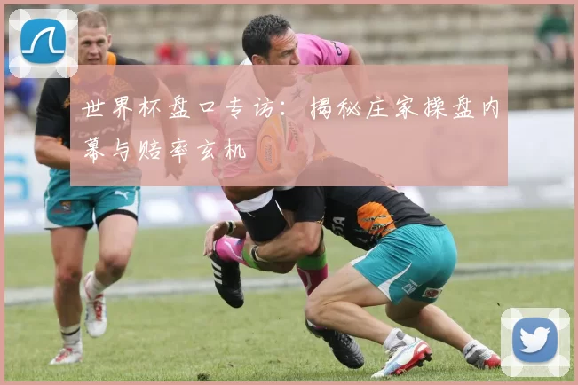 世界杯盘口专访：揭秘庄家操盘内幕与赔率玄机
