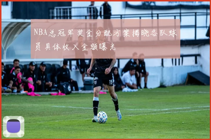 NBA总冠军奖金分配方案揭晓各队球员具体收入金额曝光