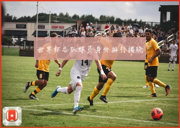 世界杯各队球员身价排行揭晓