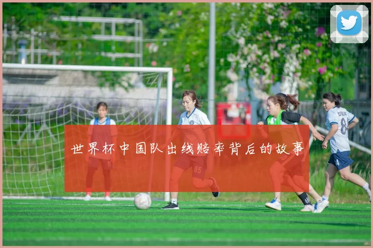 世界杯中国队出线赔率背后的故事