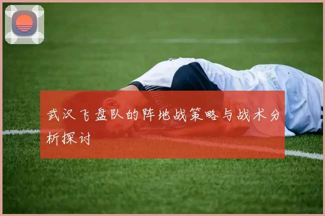 武汉飞盘队的阵地战策略与战术分析探讨