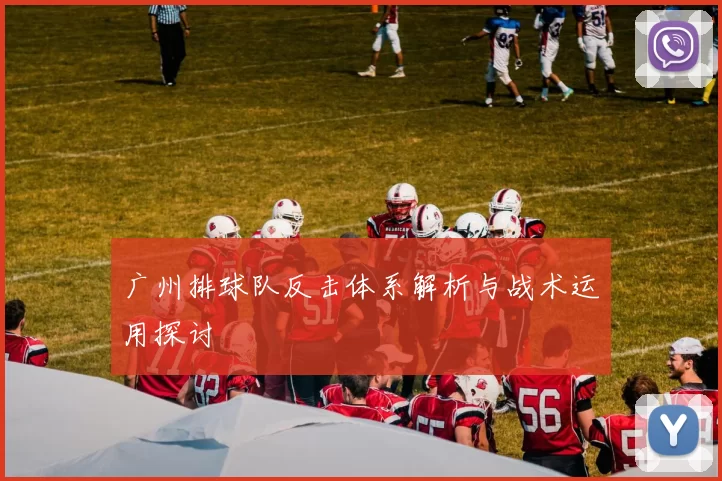广州排球队反击体系解析与战术运用探讨
