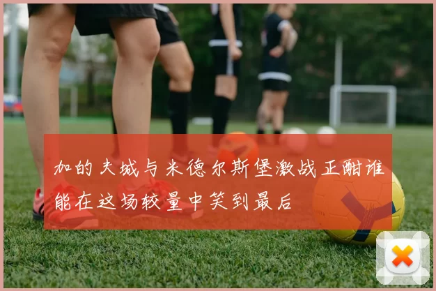 加的夫城与米德尔斯堡激战正酣谁能在这场较量中笑到最后