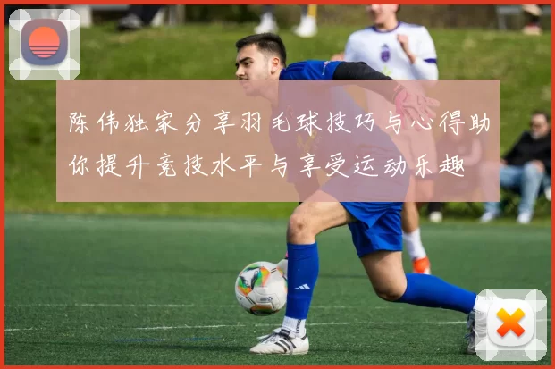 陈伟独家分享羽毛球技巧与心得助你提升竞技水平与享受运动乐趣