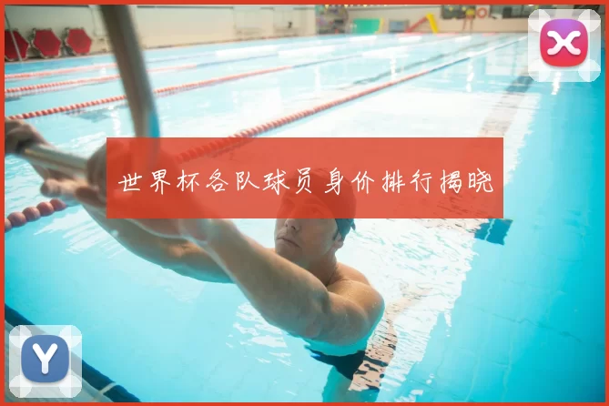世界杯各队球员身价排行揭晓