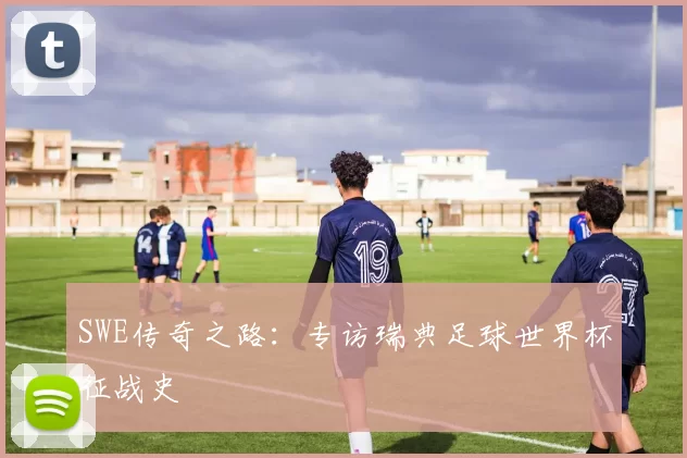 SWE传奇之路：专访瑞典足球世界杯征战史