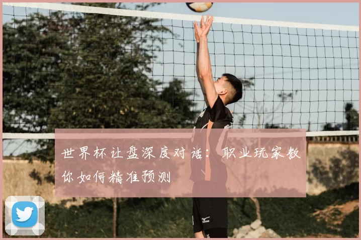 世界杯让盘深度对话:职业玩家教你如何精准预测