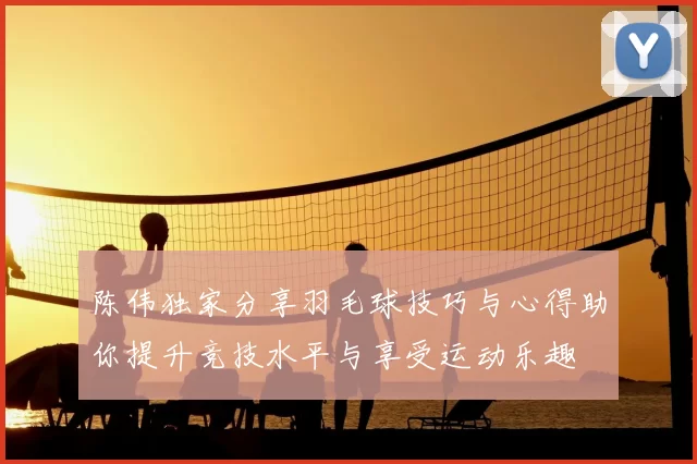 陈伟独家分享羽毛球技巧与心得助你提升竞技水平与享受运动乐趣