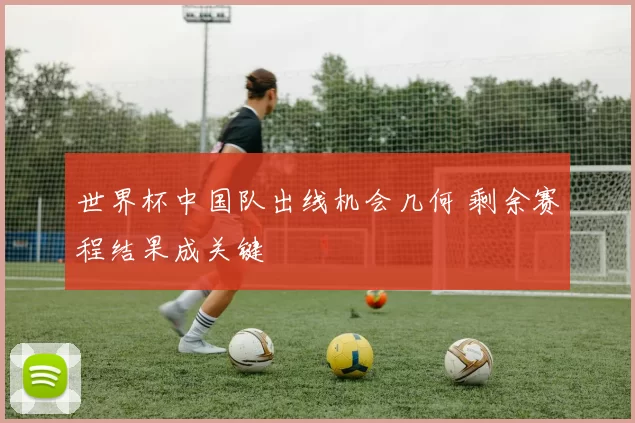 世界杯中国队出线机会几何 剩余赛程结果成关键