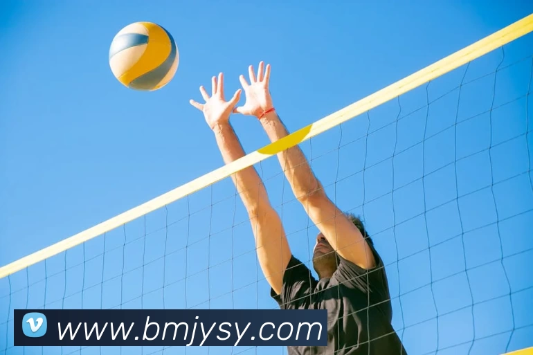 华体会服务体系